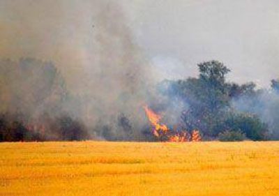 Nuevo incendio afecta a 15.000 has. de campos cercanos a Tornquist