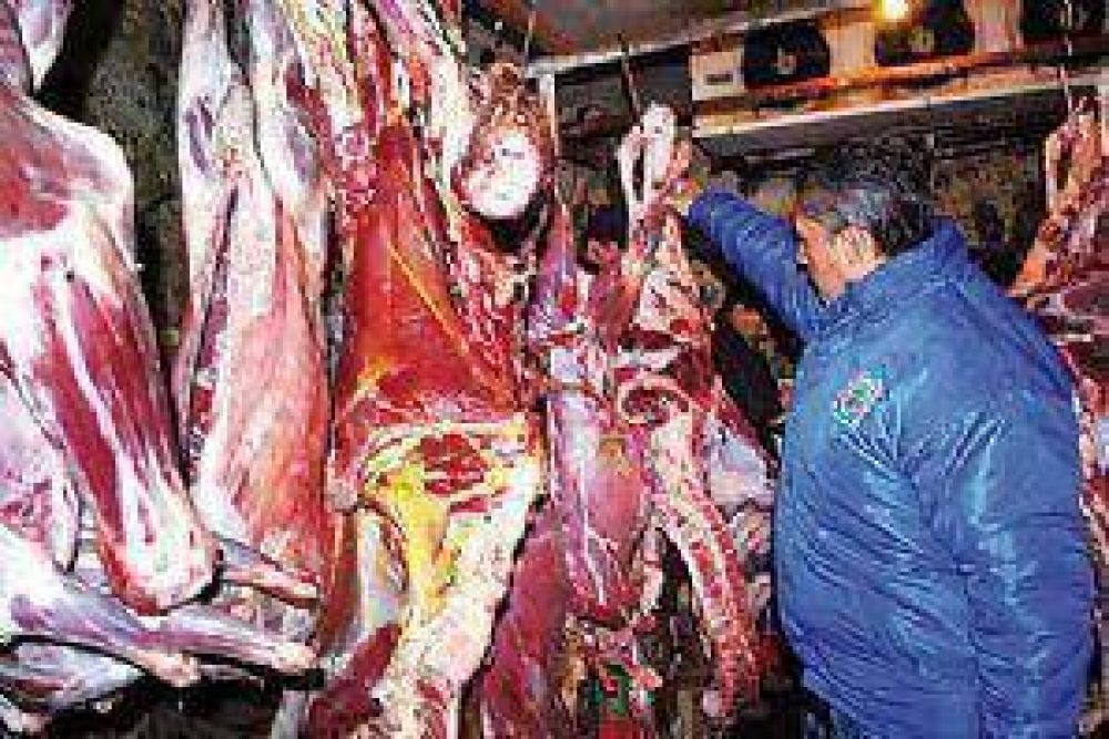 Fueron incautados 1100 kilos de carne en Cutral Co
