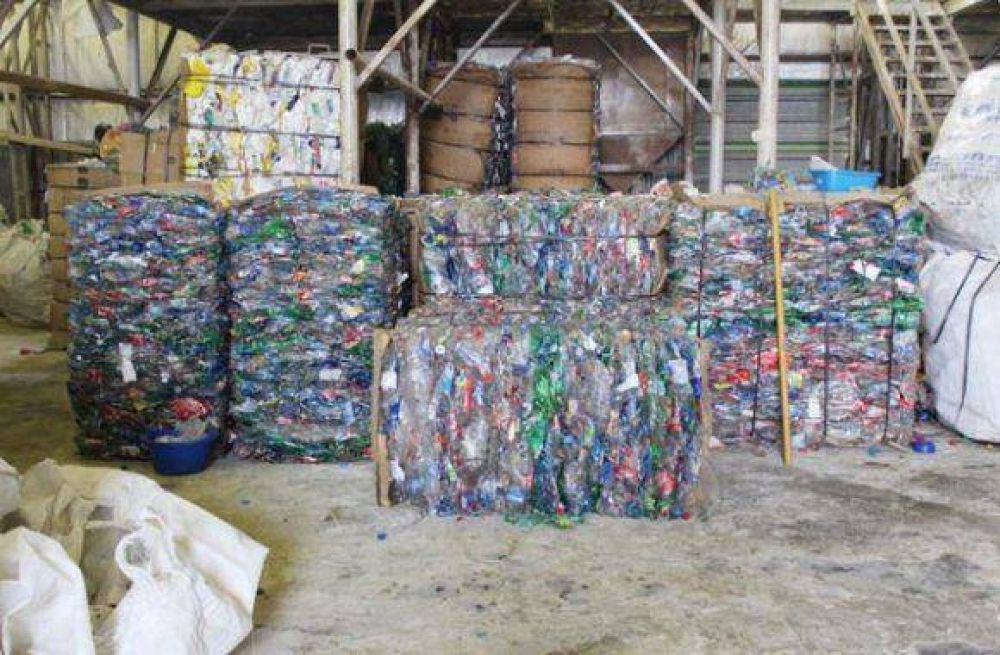 Fuerte crecimiento en recolecci�n de material reciclable