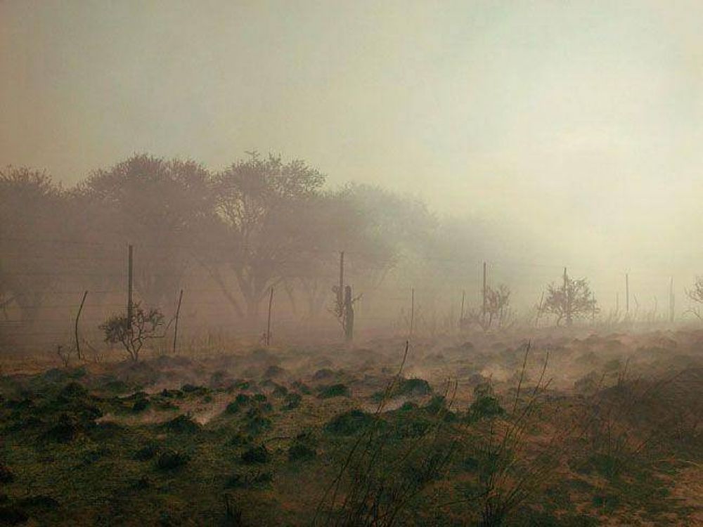 Los incendios afectaron 370.000 hect�reas