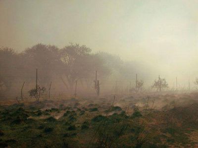 Los incendios afectaron 370.000 hect�reas