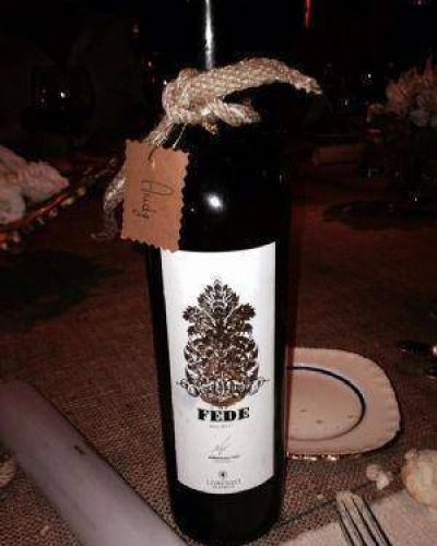 Marcelo Tinelli present� su vino elaborado en Mendoza