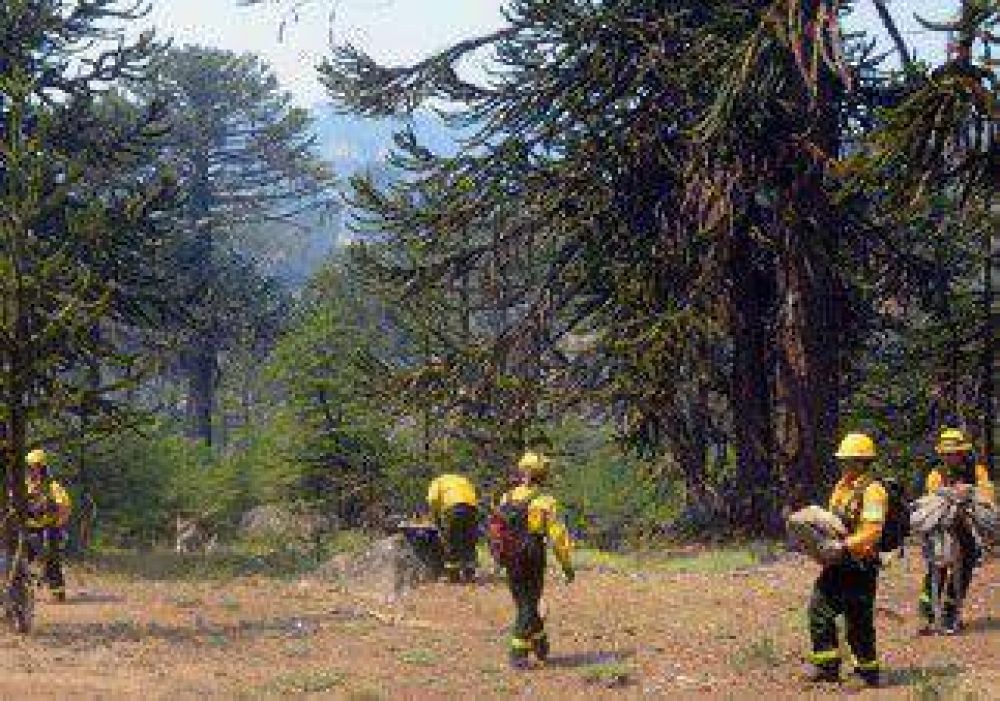 Lleg� la lluvia a Alumin� y trajo algo de alivio para combatir los incendios 