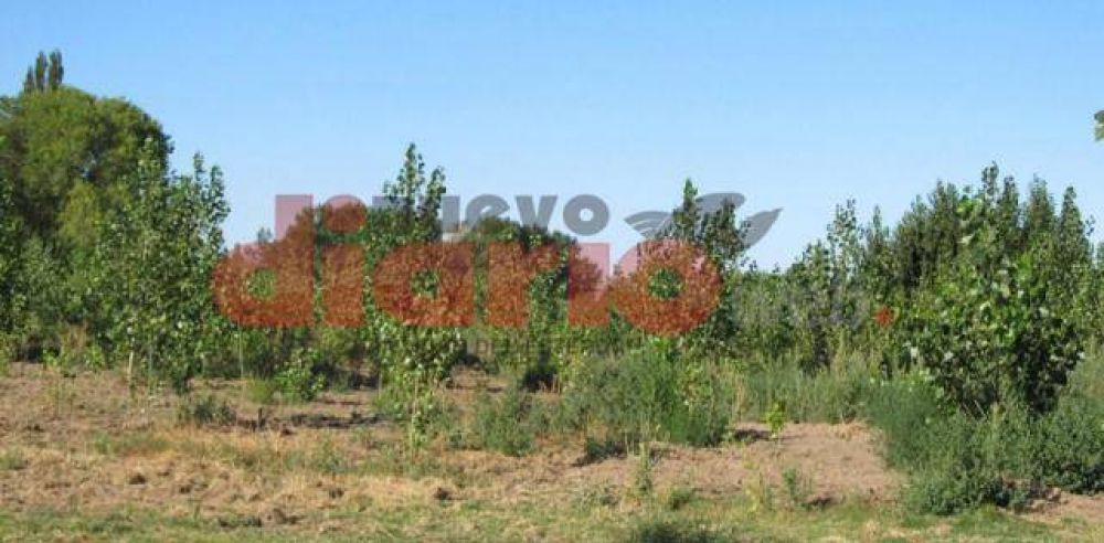 Artesanos impulsan proyecto amigable con la naturaleza
