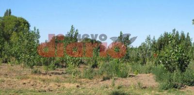 Artesanos impulsan proyecto amigable con la naturaleza