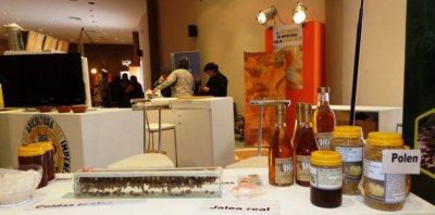 Los complejos productivos que el Chaco aportar� al plan nacional de aliento a las exportaciones