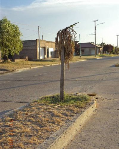 Los concejales tambi�n pueden hacer algo por la sequ�a reinante