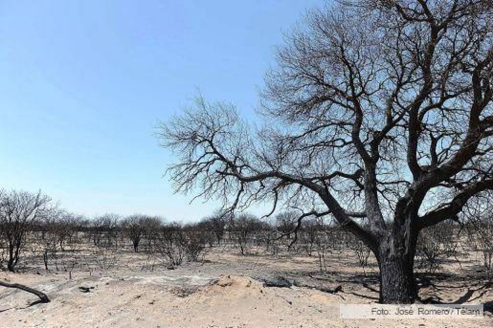 Tres nuevos focos de incendio en el oeste