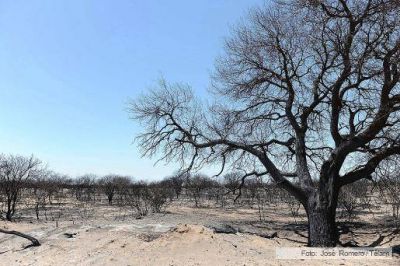 Tres nuevos focos de incendio en el oeste