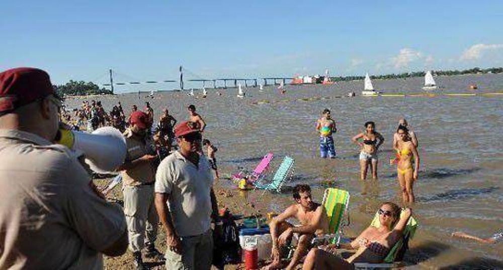 Analizan los ataques de las palometas