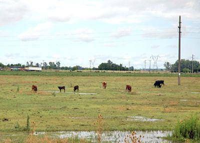 Con registros dispares, finalmente lleg� la lluvia