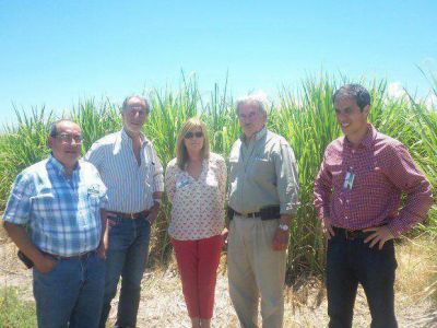 �Trabajamos en todos los frentes por La Esperanza�