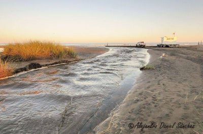 Reserva del Puerto: denuncian destrucci�n por parte del municipio de la laguna