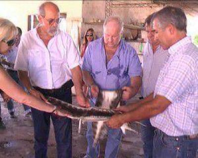 Iba�ez visit� la planta industrial de Caimanes