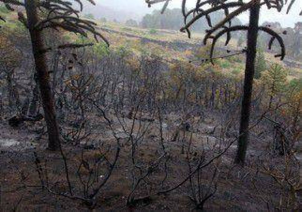 Con avances, sigue la lucha contra el fuego en el interior neuquino 