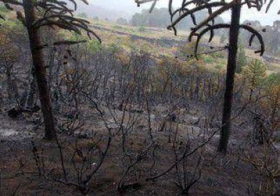 Con avances, sigue la lucha contra el fuego en el interior neuquino 