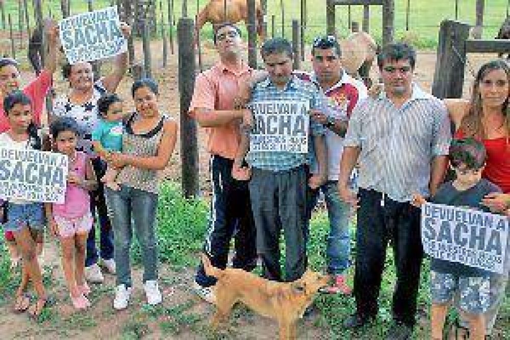 Roban caballo que 50 ni�os y j�venes especiales usaban en sesiones de equinoterapia