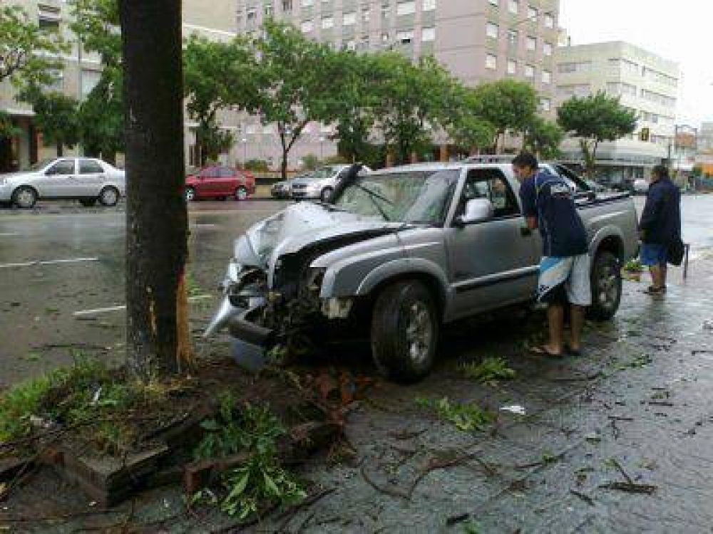 CHOC� CONTRA UN �RBOL EN INDEPENDENCIA AL 4300 DE MAR DEL PLATA