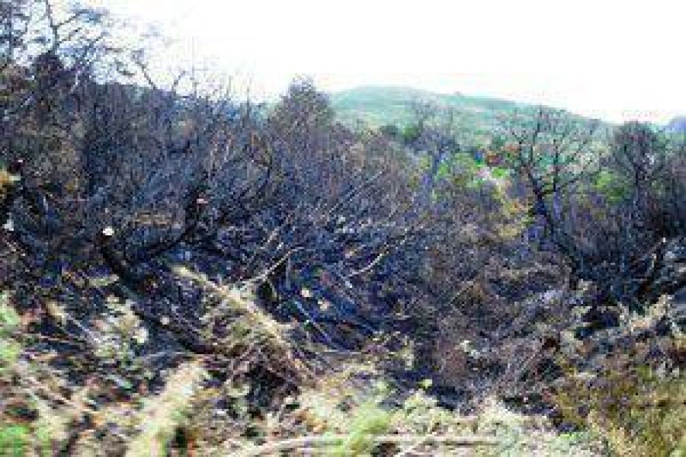 INCENDIOS: Avanzan contra el fuego en Alumin�