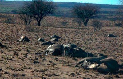 Impuesto Inmobiliario Rural: ruralistas esperan una respuesta de Jorge