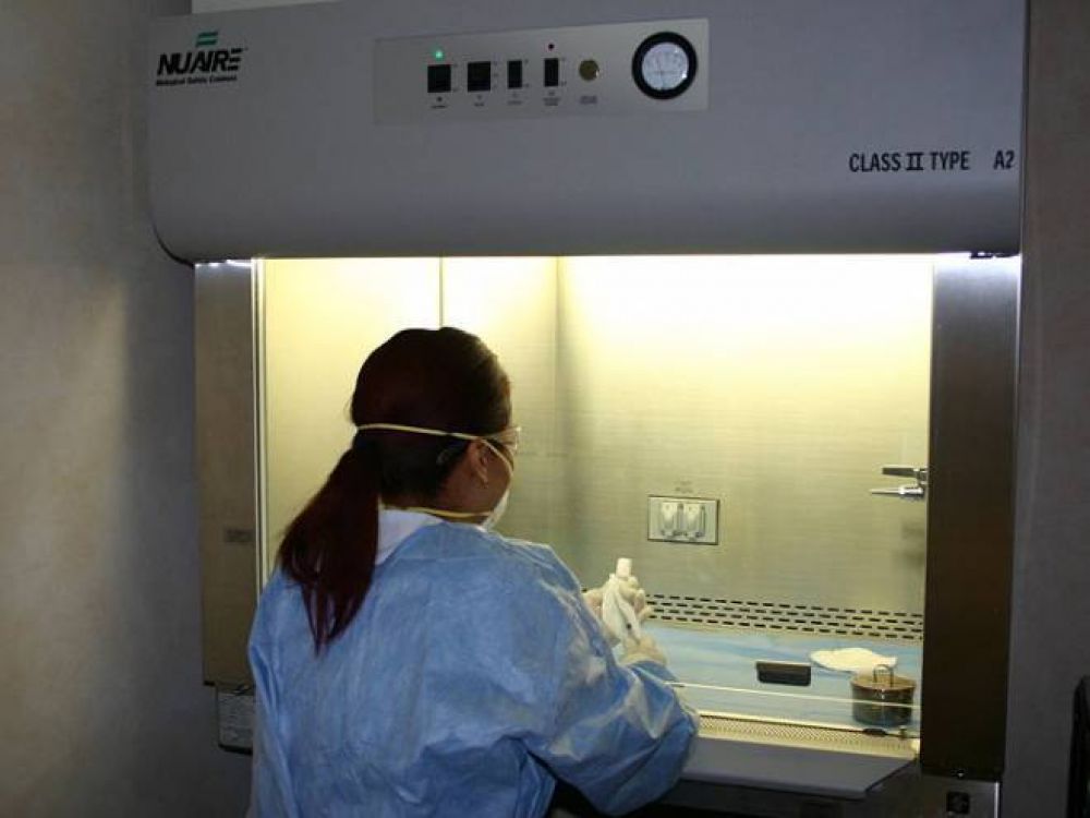 Afirman que hace 20 a�os las enfermeras de oncolog�a trabajan sin protecci�n a medicamentos t�xicos