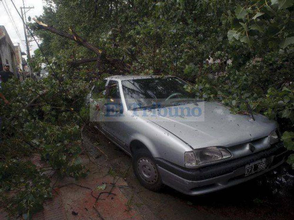 Un fuerte temporal gener� da�os en autos y tir� �rboles