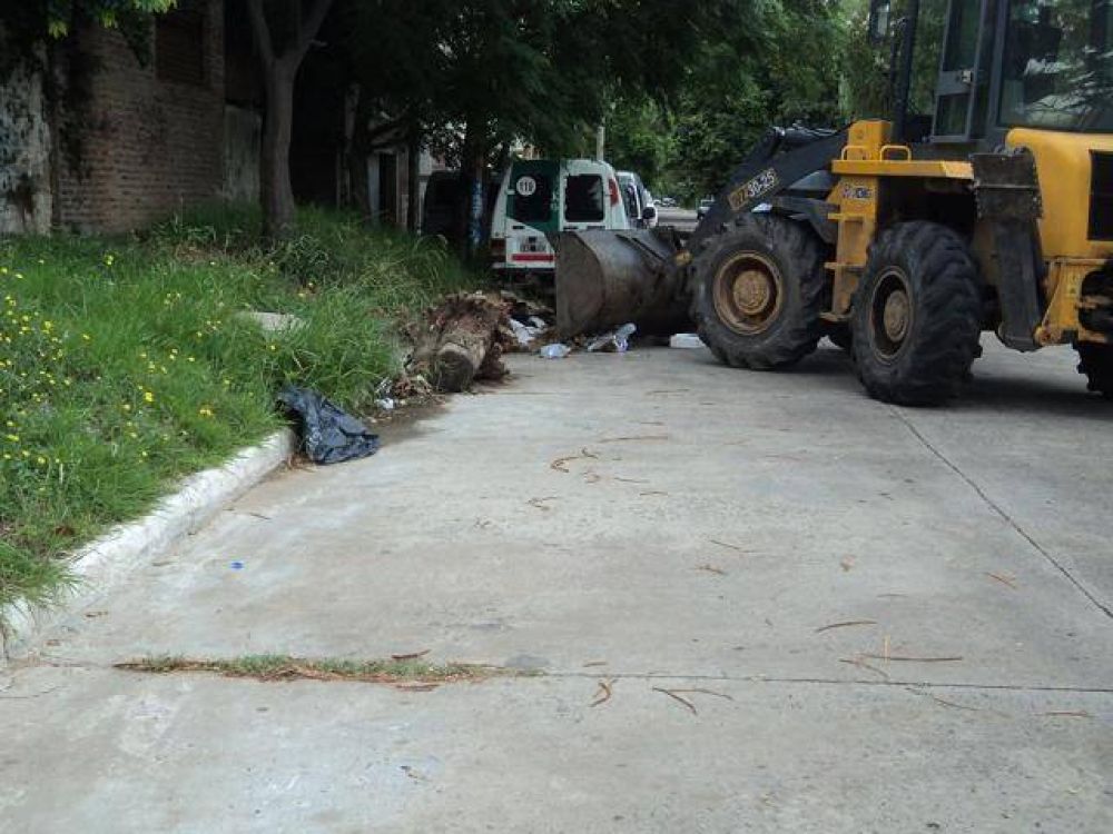 Tareas de limpieza en la zona oeste