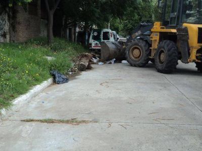 Tareas de limpieza en la zona oeste