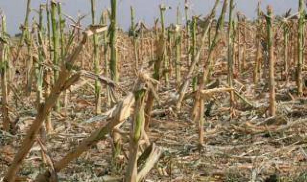 Salliquel�: Intendente Catt�neo pide reformas en la Ley de Emergencia Agropecuaria
