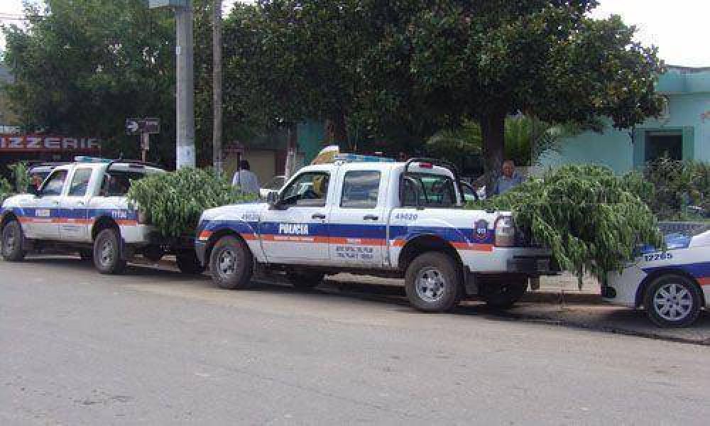 Machetazos, tiros y un bosque de marihuana en Presidente Derqui