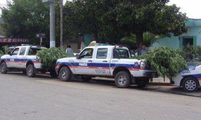 Machetazos, tiros y un bosque de marihuana en Presidente Derqui