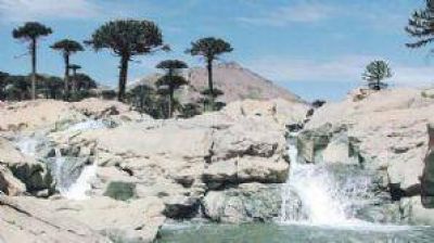 Proponen a Copahue "como patrimonio de la humanidad" 