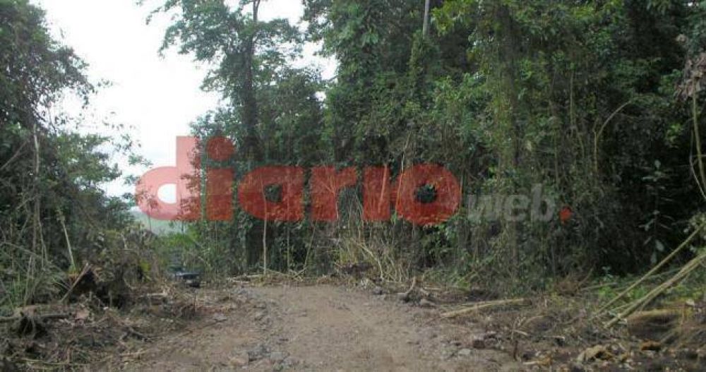 Proponen incrementar bosques en zonas que est�n degradadas