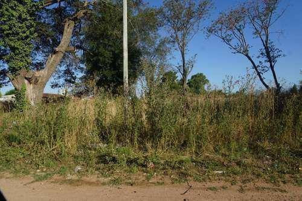 La dificultad de convivir entre terrenos en mal estado y basura en lugares inadecuados