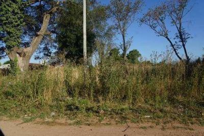 La dificultad de convivir entre terrenos en mal estado y basura en lugares inadecuados