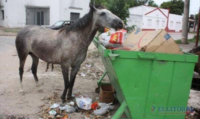 En el Colombia Granaderos proliferan los basurales