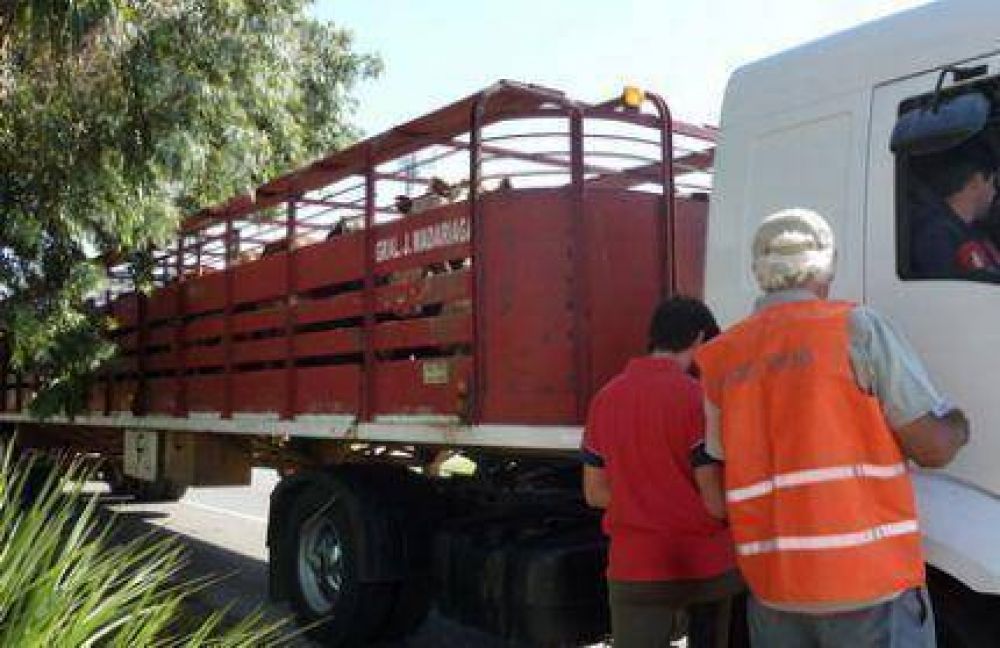 El Senasa control� el transporte de alimentos en la autov�a 2