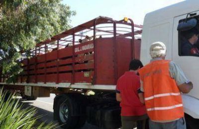 El Senasa control� el transporte de alimentos en la autov�a 2