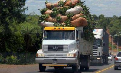 M�s de 650 millones de kilos de yerba fueron a la secanza en el 2013 