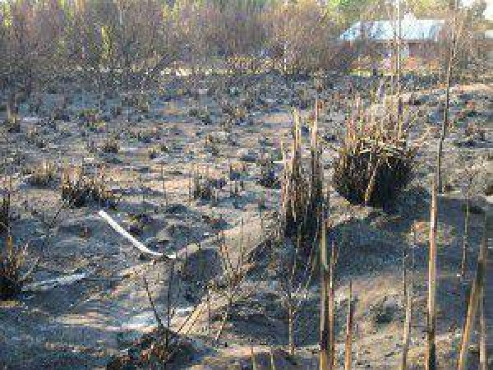 Incendio en Marisol: piden convocar a Defensa Civil