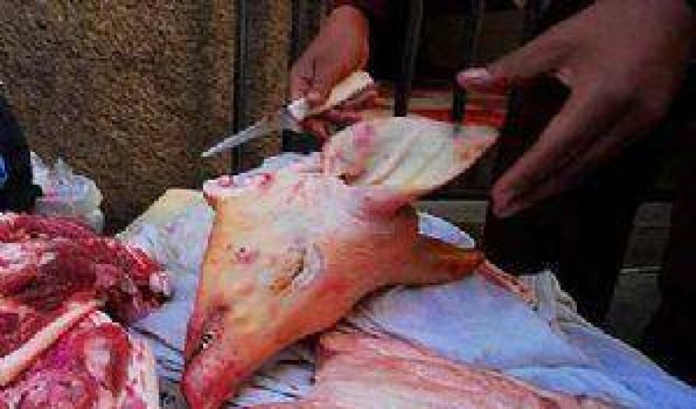 Advierten por aumento de triquinosis en Neuqu�n 