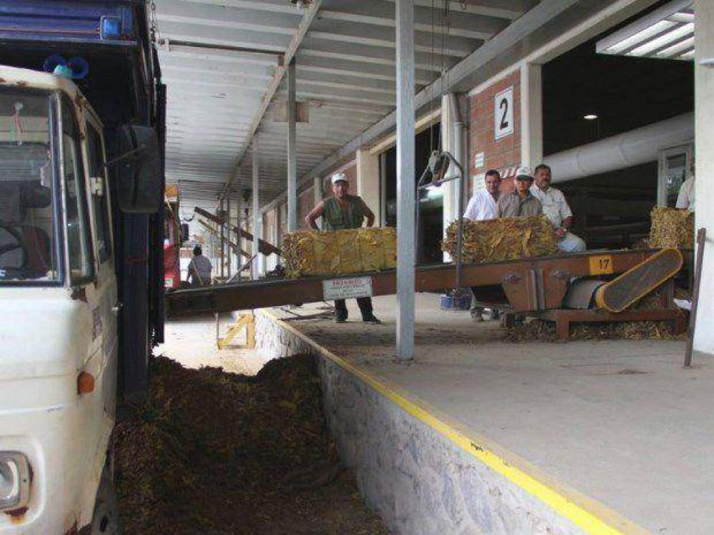 Tabacaleros de Salta y Jujuy definen hoy el precio con la industria