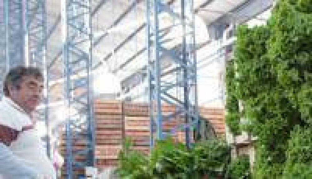 Se recolectan los productos que carecen de valor de venta