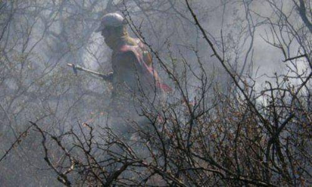 Nuevos incendios afectaron 10 mil hect�reas 