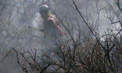 Nuevos incendios afectaron 10 mil hect�reas 