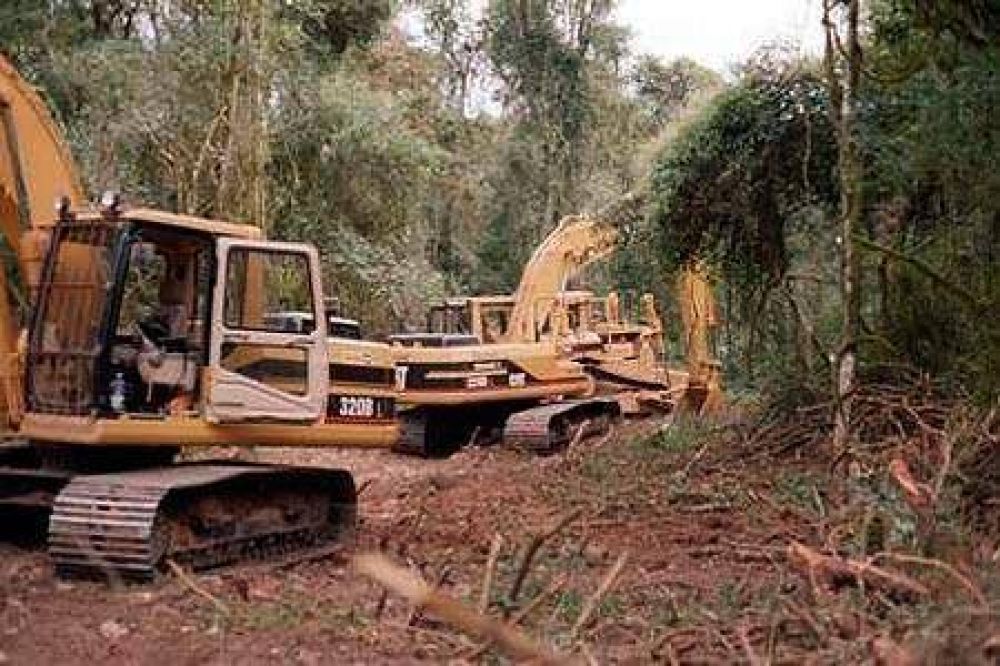 El Chaco perdi� en Paraguay y Argentina m�s de medio mill�n de hect�reas de bosque en 2013