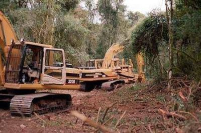 El Chaco perdi� en Paraguay y Argentina m�s de medio mill�n de hect�reas de bosque en 2013
