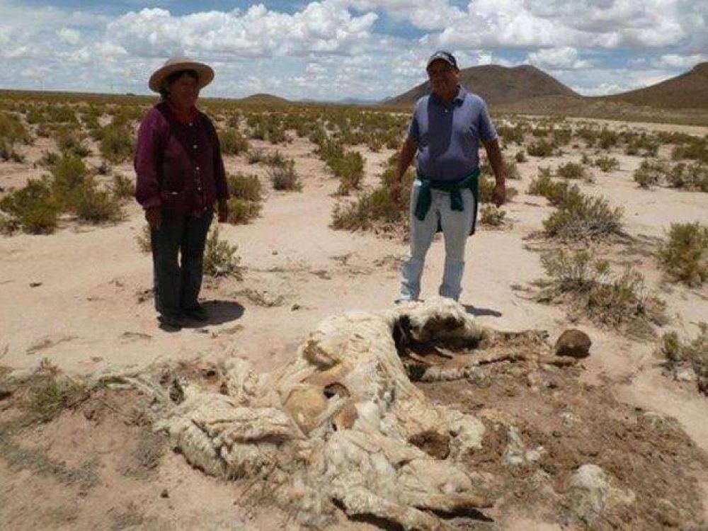 Piden remediaci�n ambiental por presunta contaminaci�n del agua