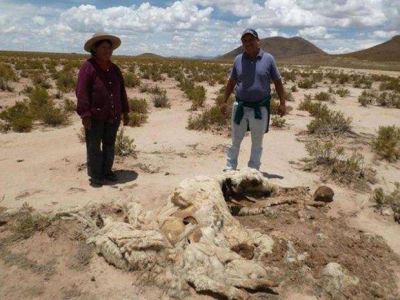 Piden remediaci�n ambiental por presunta contaminaci�n del agua