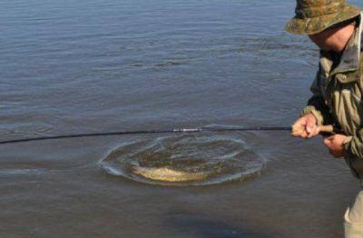 Denuncian depredaci�n, pesca ilegal y falta de control por parte del gobierno 
